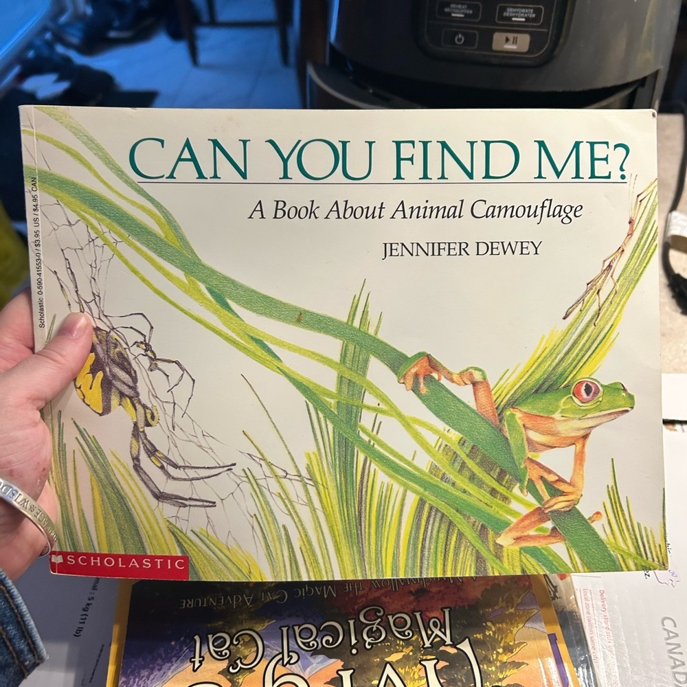 5/$25 Scholastic 'Can You Find Me?' Book